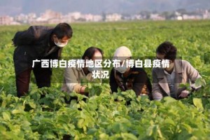 广西博白疫情地区分布/博白县疫情状况