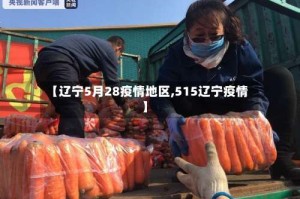 【辽宁5月28疫情地区,515辽宁疫情】