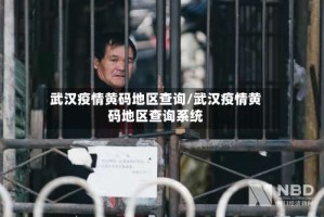 武汉疫情黄码地区查询/武汉疫情黄码地区查询系统