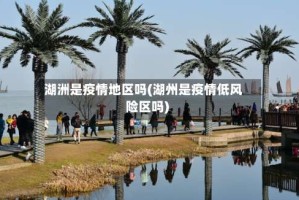 湖洲是疫情地区吗(湖州是疫情低风险区吗)