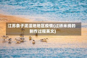 江苏条子泥湿地地区疫情(过桥米线的制作过程英文)