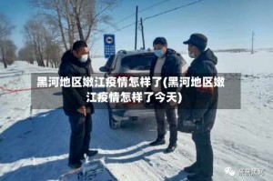 黑河地区嫩江疫情怎样了(黑河地区嫩江疫情怎样了今天)