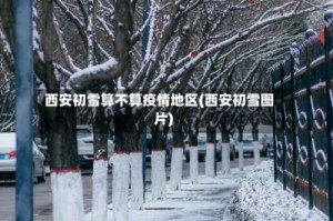 西安初雪算不算疫情地区(西安初雪图片)