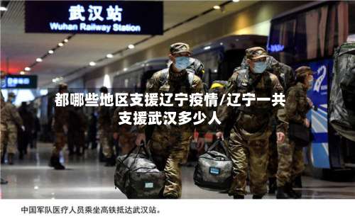 都哪些地区支援辽宁疫情/辽宁一共支援武汉多少人-第1张图片