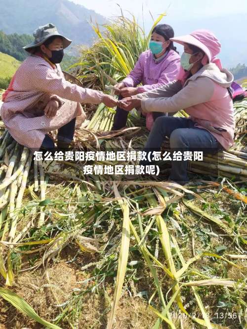 怎么给贵阳疫情地区捐款(怎么给贵阳疫情地区捐款呢)-第3张图片