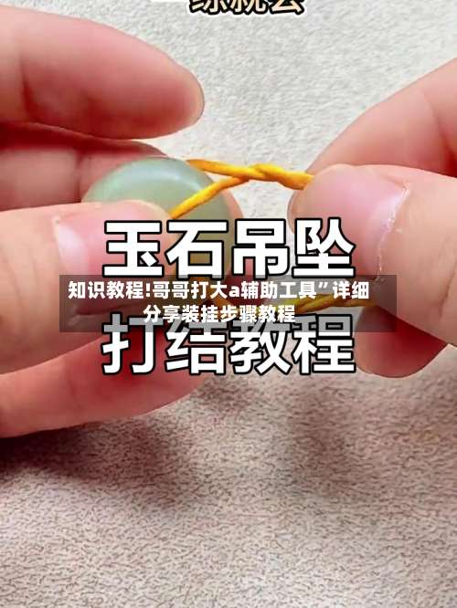 知识教程!哥哥打大a辅助工具	”详细分享装挂步骤教程-第1张图片
