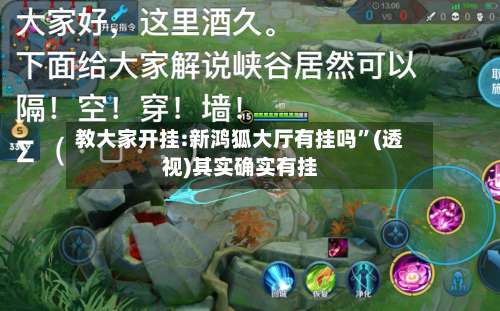 教大家开挂:新鸿狐大厅有挂吗”(透视)其实确实有挂-第2张图片