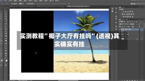 实测教程”椰子大厅有挂吗	”(透视)其实确实有挂-第1张图片