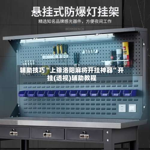 辅助技巧“上豫洛阳麻将开挂神器”开挂(透视)辅助教程-第2张图片