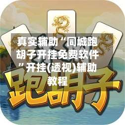 真实辅助“同城跑胡子开挂免费软件”开挂(透视)辅助教程-第1张图片