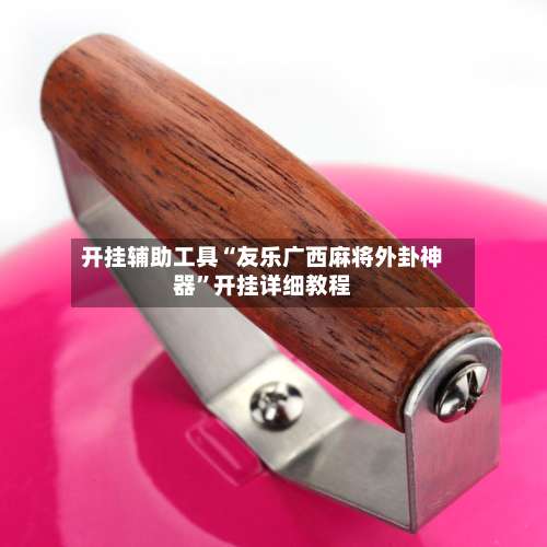 开挂辅助工具“友乐广西麻将外卦神器	”开挂详细教程-第1张图片