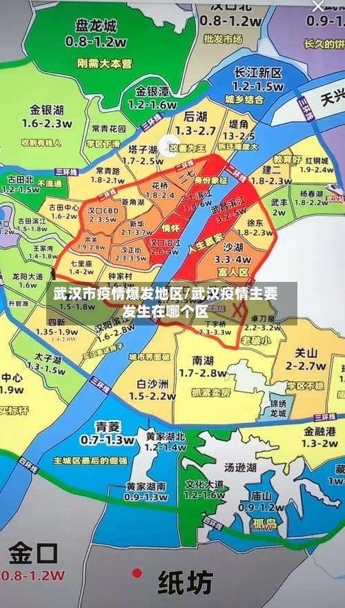 武汉市疫情爆发地区/武汉疫情主要发生在哪个区-第3张图片