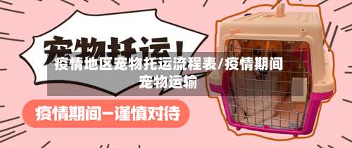 疫情地区宠物托运流程表/疫情期间宠物运输-第1张图片