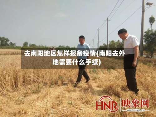 去南阳地区怎样报备疫情(南阳去外地需要什么手续)-第2张图片