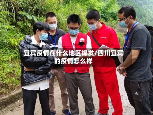 宜宾疫情在什么地区爆发/四川宜宾的疫情怎么样-第3张图片