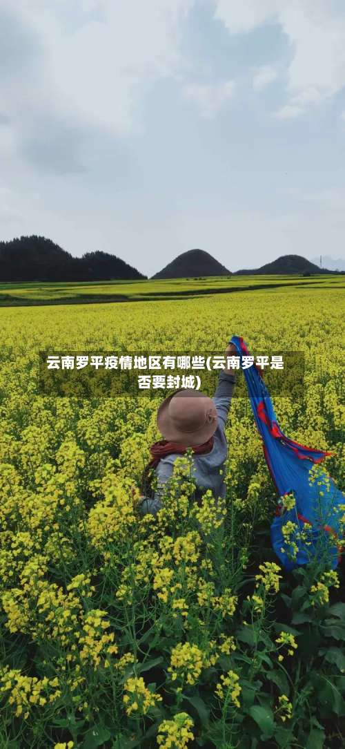 云南罗平疫情地区有哪些(云南罗平是否要封城)-第3张图片