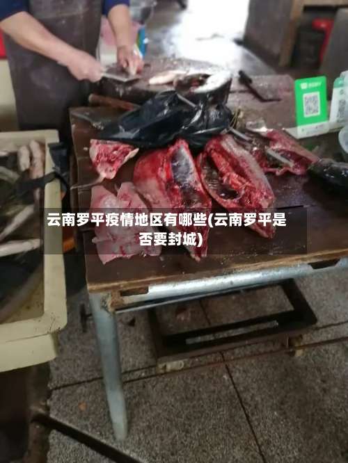 云南罗平疫情地区有哪些(云南罗平是否要封城)-第2张图片