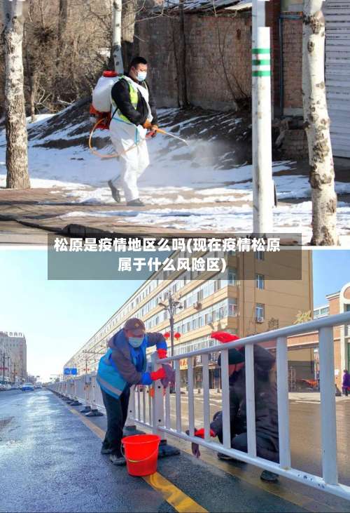 松原是疫情地区么吗(现在疫情松原属于什么风险区)-第1张图片