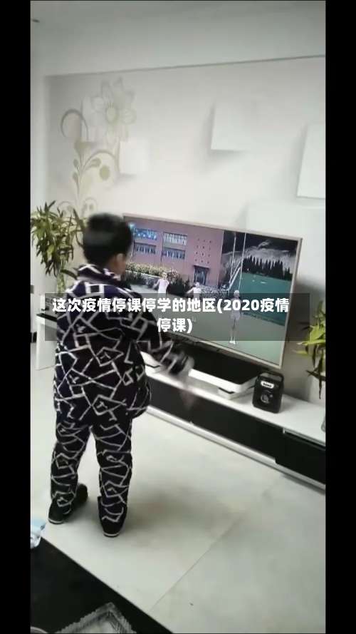 这次疫情停课停学的地区(2020疫情停课)-第2张图片