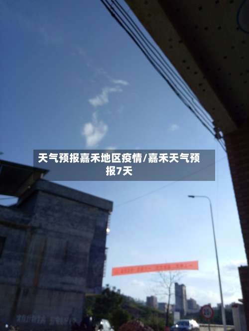 天气预报嘉禾地区疫情/嘉禾天气预报7天-第1张图片