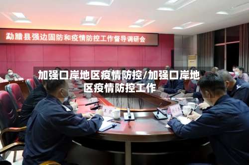 加强口岸地区疫情防控/加强口岸地区疫情防控工作-第3张图片