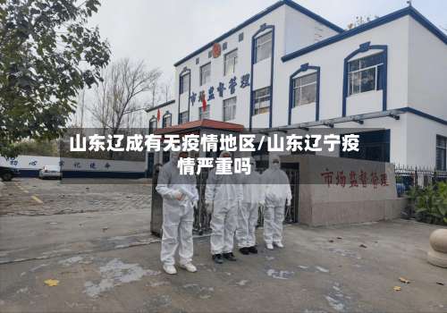 山东辽成有无疫情地区/山东辽宁疫情严重吗-第2张图片