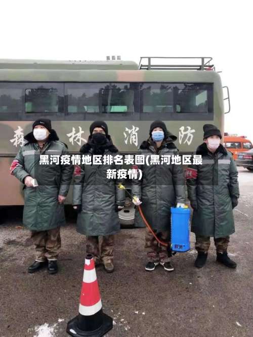 黑河疫情地区排名表图(黑河地区最新疫情)-第3张图片