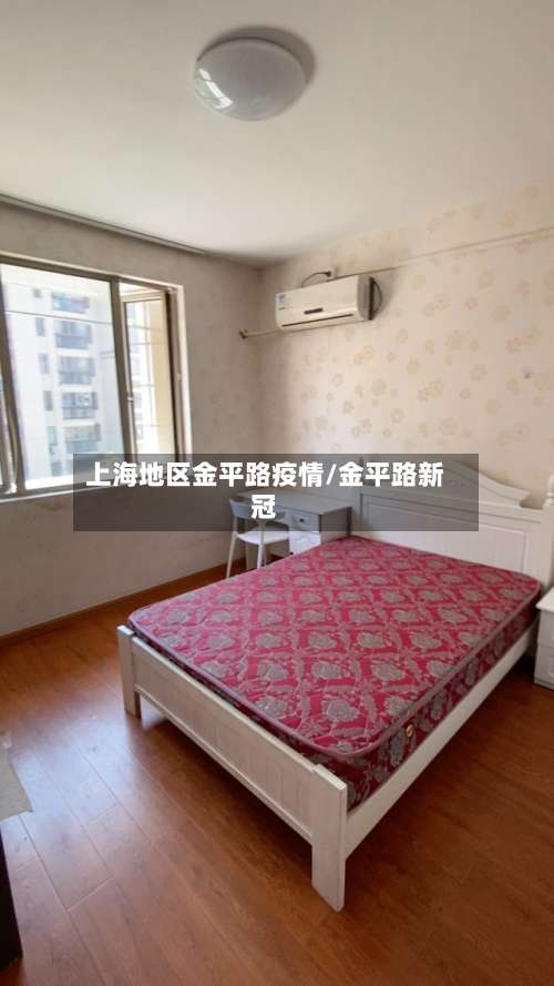 上海地区金平路疫情/金平路新冠-第2张图片