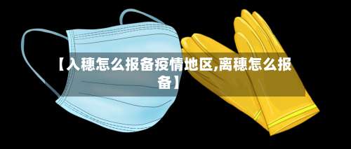 【入穗怎么报备疫情地区,离穗怎么报备】-第1张图片