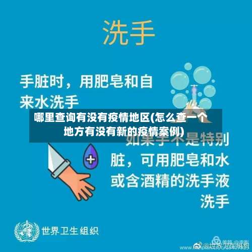 哪里查询有没有疫情地区(怎么查一个地方有没有新的疫情案例)-第2张图片