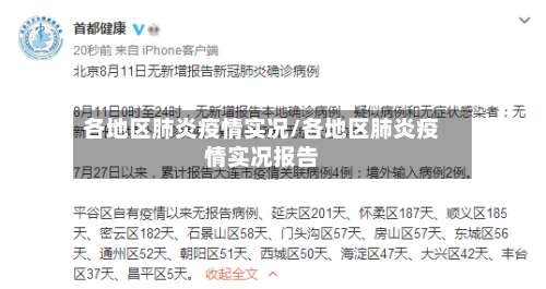 各地区肺炎疫情实况/各地区肺炎疫情实况报告-第2张图片