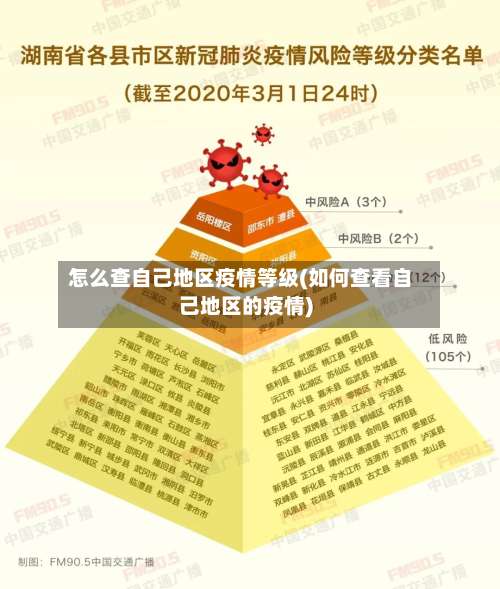 怎么查自己地区疫情等级(如何查看自己地区的疫情)-第2张图片