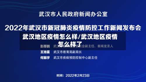 武汉地区疫情怎么样/武汉地区疫情怎么样了-第2张图片