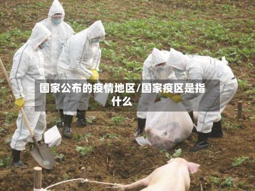 国家公布的疫情地区/国家疫区是指什么-第3张图片
