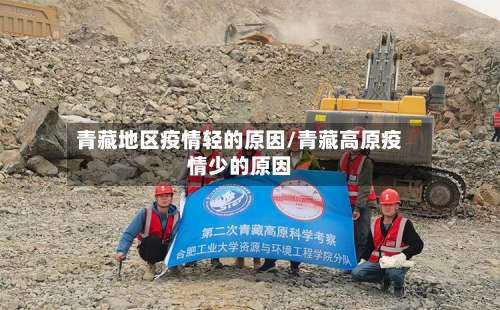 青藏地区疫情轻的原因/青藏高原疫情少的原因-第2张图片