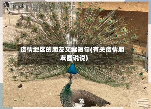 疫情地区的朋友文案短句(有关疫情朋友圈说说)-第2张图片