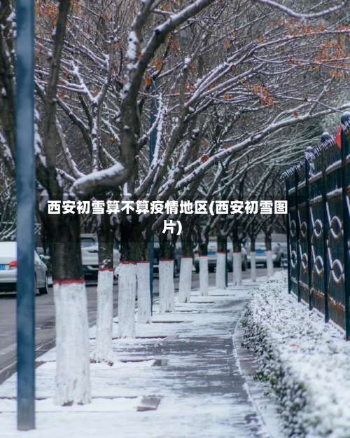 西安初雪算不算疫情地区(西安初雪图片)-第1张图片