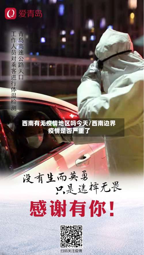 西南有无疫情地区吗今天/西南边界疫情是否严重了-第2张图片