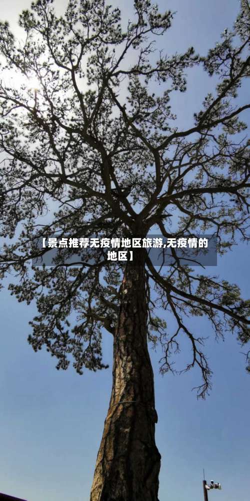 【景点推荐无疫情地区旅游,无疫情的地区】-第1张图片