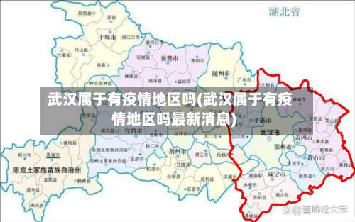 武汉属于有疫情地区吗(武汉属于有疫情地区吗最新消息)-第3张图片