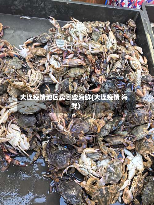 大连疫情地区卖哪些海鲜(大连疫情 海鲜)-第1张图片